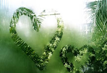 全球眼监控会拍违章吗怎么拍视频教程,看全球摄像头