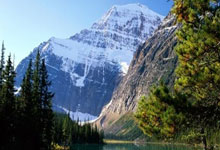 电信优惠套餐违约金怎么算,电信违约金怎么减免