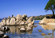 电信宽带在线注销怎么注销,电信宽带在线注销怎么注销掉